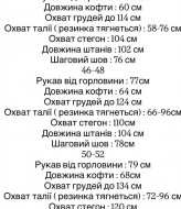 Велюровый костюм EVD-416A650