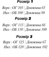 Костюм с лампасами EFR-224A650