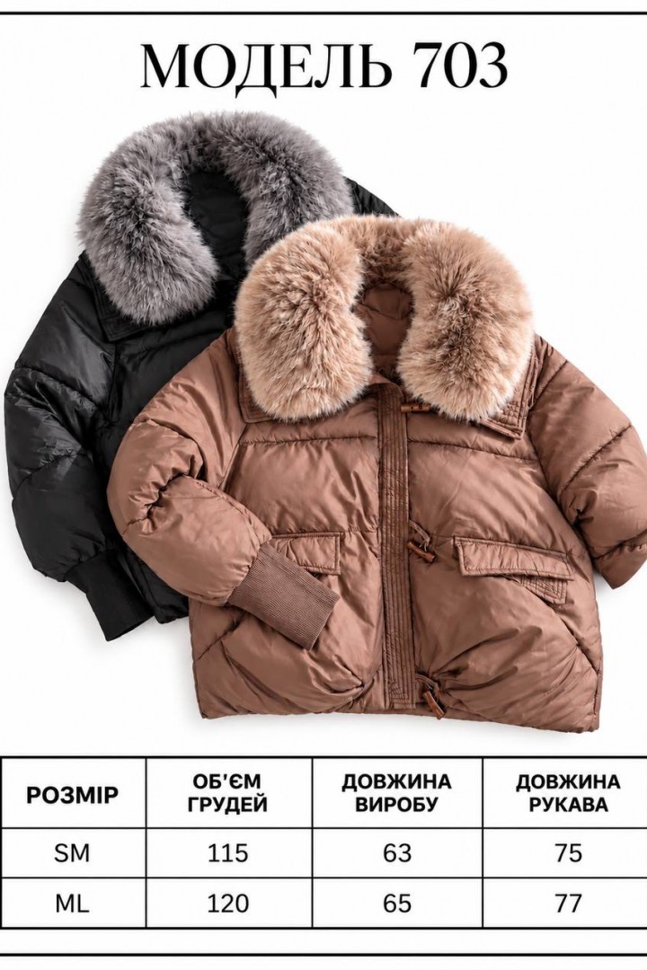 Зимняя куртка DN-703A1200