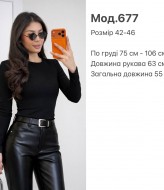 Базовий лонгслів SP-677A360