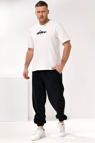 Мужские штаны DAM-280A700 Мужские штаны DAM-280A700