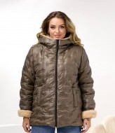 Зимняя куртка DV-R4431A1050