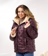 Зимняя куртка DV-R4431A1050