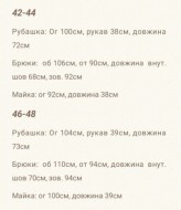 Костюм тройка летний  RISH-25A700