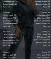 Оксамитовий прогулянковий костюм SABI-208.1A600