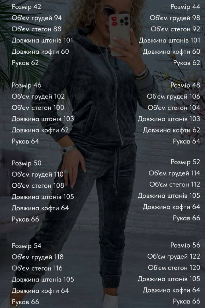 Оксамитовий прогулянковий костюм SABI-208.1A600