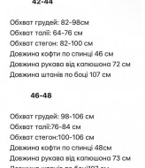 Плюшевый велюровый костюм STB-41A650