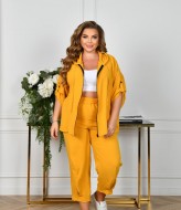 Стильный костюм женский  NF-3784A700