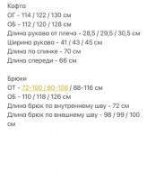 Костюм блузка и брюки YYA-1098A560