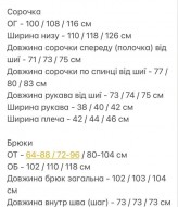 Костюм рубашка и брюки YYA-1106A500