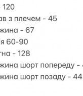 Шелковый костюм шорты и рубашка SOLO-275A750