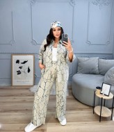 Костюм рубашка и брюки DG-c41869A550