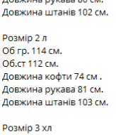 Спортивный костюм с лампасами  VM-10451A740