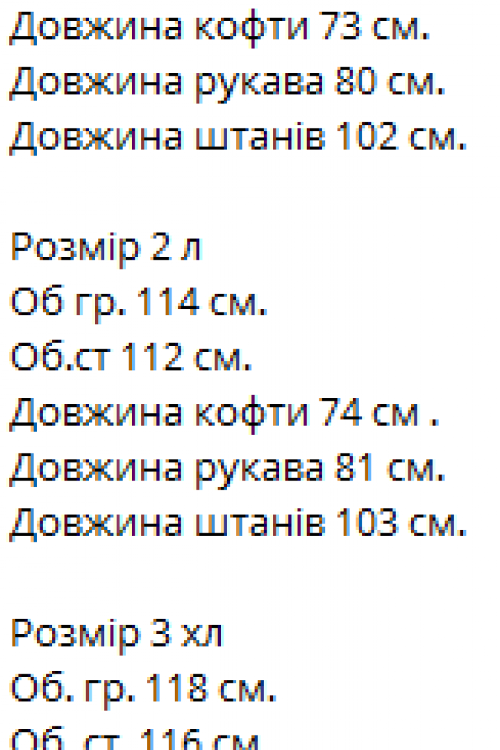 Спортивный костюм с лампасами  VM-10451A740