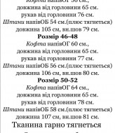 Теплый спортивный костюм IND-3014A750