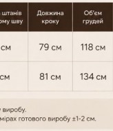 Велюровый спортивный костюм KASY-352A750