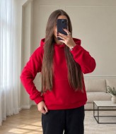 Флисовый спортивный костюм SABI-2261A650
