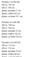 Спортивний костюм VM-10522A570