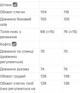 Флисовый костюм NJ-JB-2099A1000