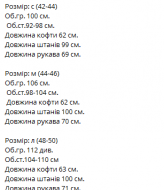 Велюровий костюм VM-10365A430