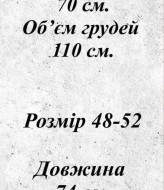 Шелковая рубашка EVD-331A350