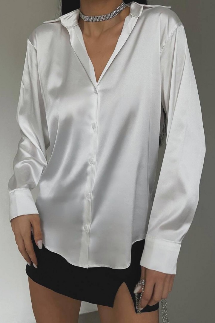 Шелковая рубашка EVD-331A350