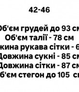 Комплект двойка платье + сетка AKS-191A450