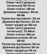 Женский комплект футболка поло и юбка-тенниска EVD-242A550