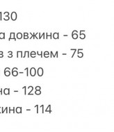 Велюровый костюм SOLO-284A1200