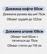 Велюровый спортивный костюм NISA-102A750