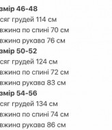 Мужская ветровка LYR-0245A500