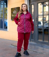 Теплый прогулочный костюм женский NOB-25053A900