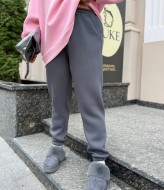 Спортивные джоггеры AB-254A15