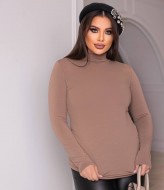 Водолазка  жіноча DG-p15513A250