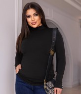 Водолазка  жіноча DG-p15513A250