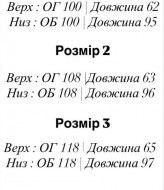 Велюровый костюм EFR-195A450