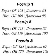 Спортивный костюм EFR-201A450