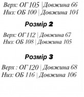 Женский костюм EFR-166A420