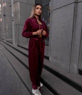 Спортивный костюм велюр  VM-10520A490