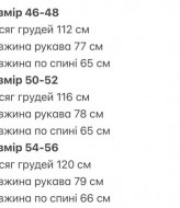 Мужская ветровка INT-0605A480