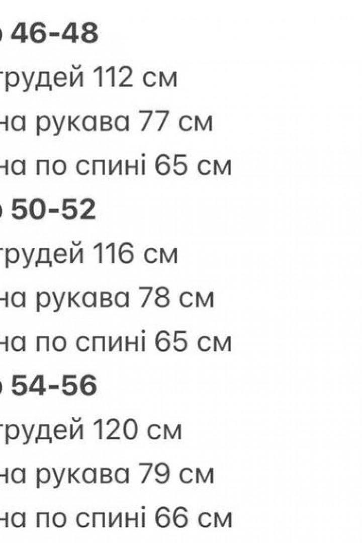 Мужская ветровка INT-0605A480