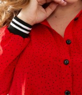 Вільна сукня AZ-8250A10.5