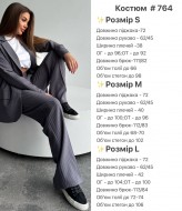 Деловой брючный костюм женский KL-764A1100