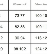 Стильний костюм NJ-AD-7813.1A320