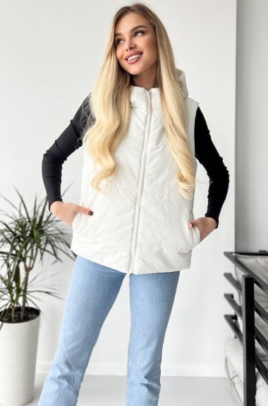 Спортивная жилетка с капюшоном ALP-1007A530 Спортивная жилетка с капюшоном ALP-1007A530