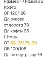 Спортивный костюм флисовый женский HB-031A770