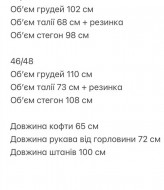 Костюм женский спортивный на флисе  SAP-054A550 Костюм женский спортивный на флисе  SAP-054A550