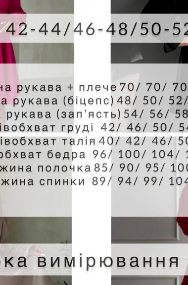 Сукня з спідницею кльош NJ-AMU-378.1378A440 