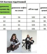 Спортивный костюм теплый подростковый  EV-254A850