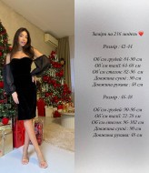 Платье с шифоновыми рукавами DAD-216A400